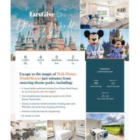 Disney World Wonder item