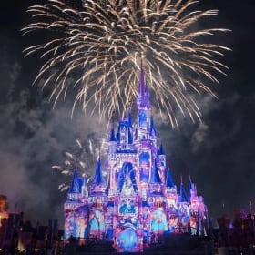 Disney World Wonder item