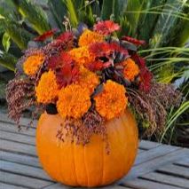 Floral Arrangement Class Oct. 16th item