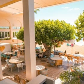 Oahu - Kaimana Beach Hotel Hau Tree Brunch for 4 item