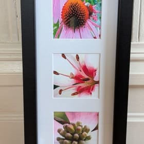 Sexy Centers #3 Photo Print item