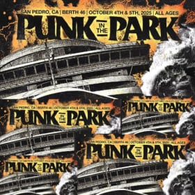 4 VIP Tickets to Punk in the Park item