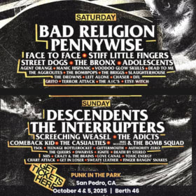 4 VIP Tickets to Punk in the Park item