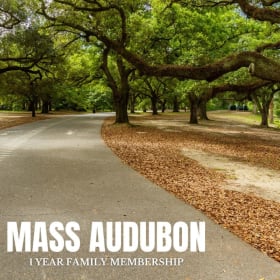 Mass Audubon One Year Membership item