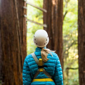 Take Your Team to New Heights in the Redwoods! 🌲 People item