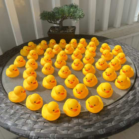Quack Pack: 50 Rubber Ducks item