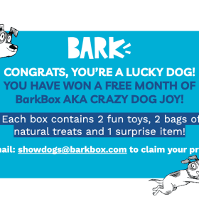 🎉 FREE Month of BarkBox – AKA CRAZY DOG JOY! 🐾 item