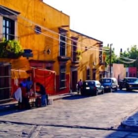 Afternoon Light item