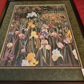 Multi-Colored Iris Print item