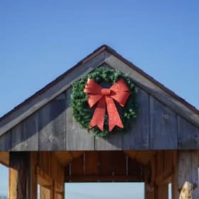 #6 A Little Holiday Cheer - $220 value item