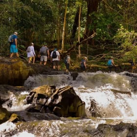 Waterfall and Rainforest Hike Adventure for Two item