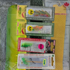 Flasher & Teaser Head Combo item