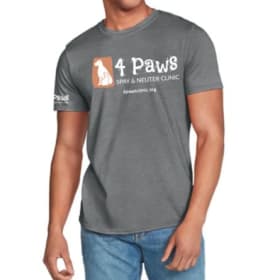 Men's Unisex SoftStyle T-shirt - Graphite Gray item