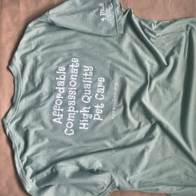 Men's/Unisex SoftStyle T-shirt - Sage Green item