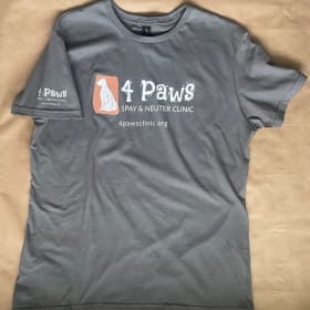 Women's SoftStyle T-shirt - Charcoal Gray item