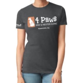 Women's SoftStyle T-shirt - Charcoal Gray item