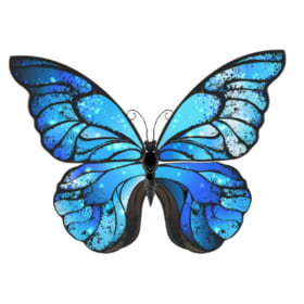 Blue Morpho Sponsor item