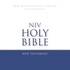 Bibles (English and Spanish) item