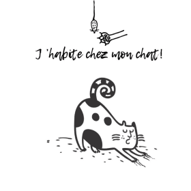 Boîte découverte J'habite chez mon chat item