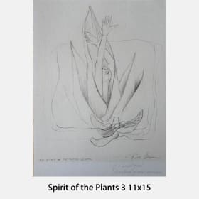 Sketch 4 Spirit of the Plants 3 item