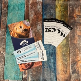 Family Fun #4  (Value $634) item