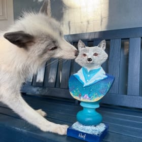 Reef the Fox by Artist Sherri Crilly item