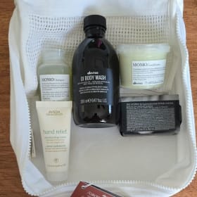 Aveda Grow Beautiful Travel Kit item
