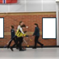 Ice House Banner item