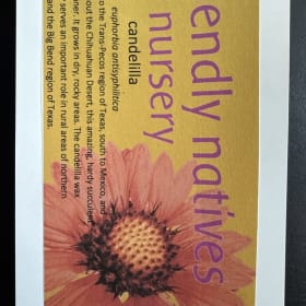 Friendly Natives Gift Certificate item