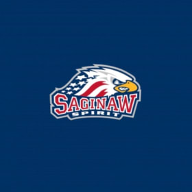 Saginaw Spirit Package item