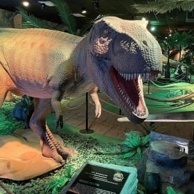 The Great Volo Experience item