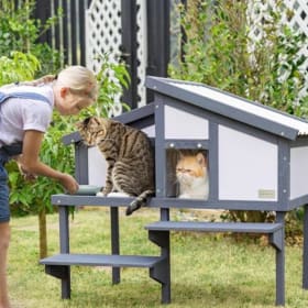 Small Animal Condo item