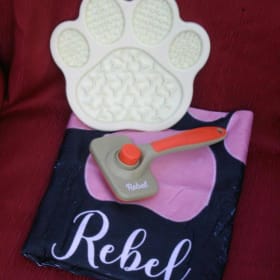 Session de toilettage et accessoires item