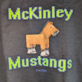 T-shirt item