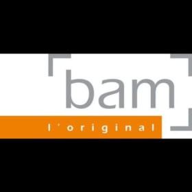 Bam BonBon Hightech  Violin Case item