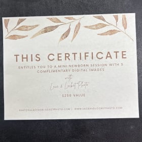Newborn Mini Session item