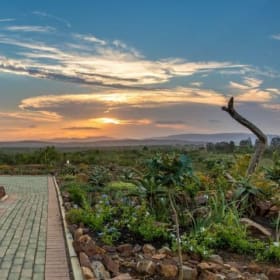 Zulu Nyala African Safari Package item