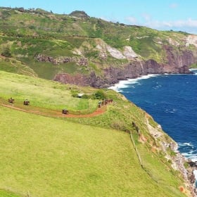Horseback Trail Ride Adventure for two item