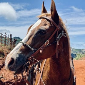 Horseback Trail Ride Adventure for two item