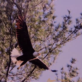 A mother's warning! item