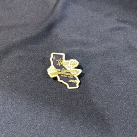 DSACC Enamel Pin(s) item