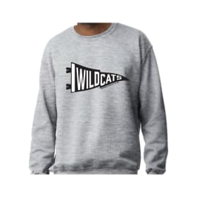Pennant Sweatshirt - Grey item