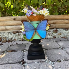 Seaside Eatery Fox item