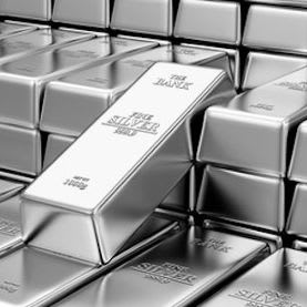 Silver Level Sponsorship-$500 item