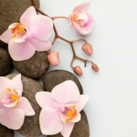 Empower & Rest Yoga & Med Spa Package item