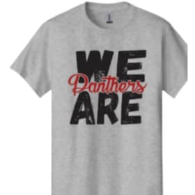 We are Panthers Grey T-shirt (YS - XL) item