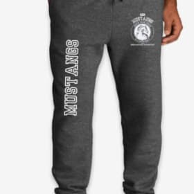 Youth Grey Sweatpants - Presale item