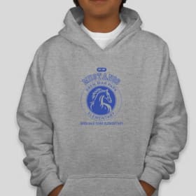Youth Grey Hoodie - Presale item