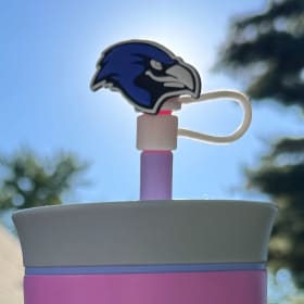 Hawkeye Straw Topper item