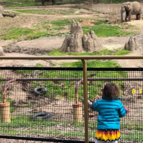 Family Pass to Oakland Zoo item